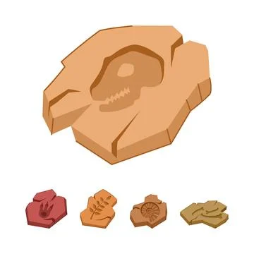 Dinosaur skull and ancient creature fossils in rock 스톡 일러스트