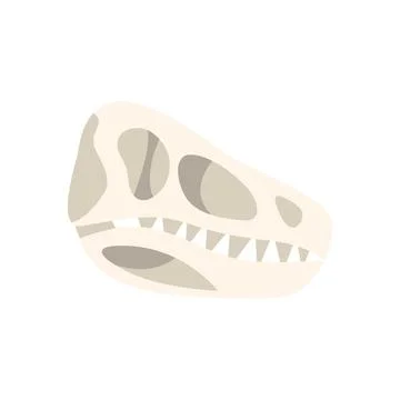 Dinosaur skull fossil showing sharp teeth and eye sockets Illustrazione stock