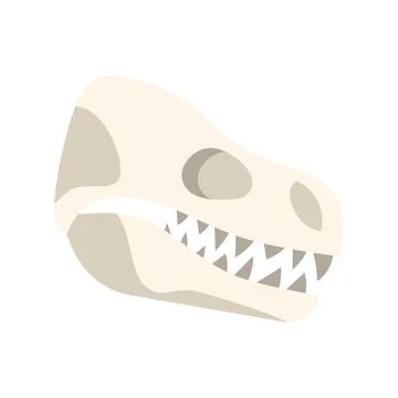 Dinosaur skull showing sharp teeth on white background 스톡 일러스트