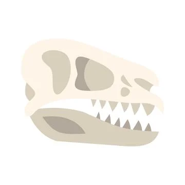 Dinosaur skull showing sharp teeth and empty eye sockets Illustrazione stock