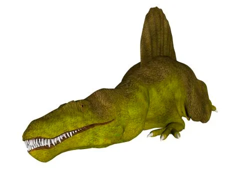Dinosaur spinosaurus Stock Illustration