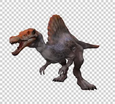 Dinosaur Spinosaurus roaring with sharp teeth on black background Stock Illustration