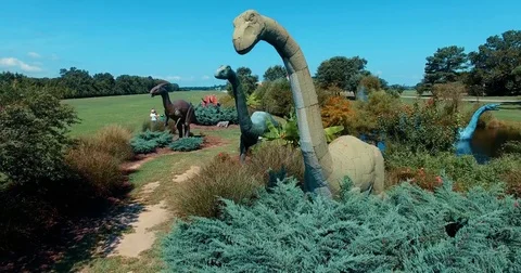 Dinosaur Statues Stock Footage 79212226