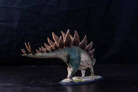 Dinosaur stegosaurus in the dark Stock Photos