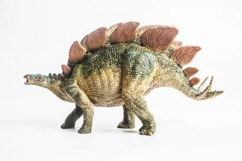 Dinosaur , Stegosaurus  on white background Stock Photos