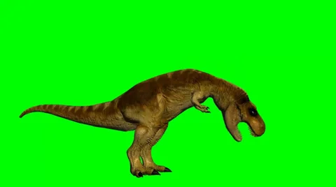 Dinosaur T-Rex drinks - green screen Stock Footage 33656793