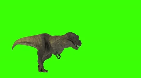 Dinosaur T rex on green screen Stock Footage 58632844