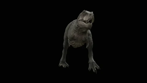 Dinosaur T-Rex loop walking with alpha channel Stock Footage 114185058
