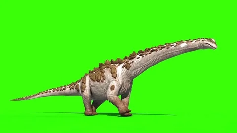 Dinosaur Titanosaur Walks Side Green Screen 3D Rendering Animation Jurassic W Stock Footage