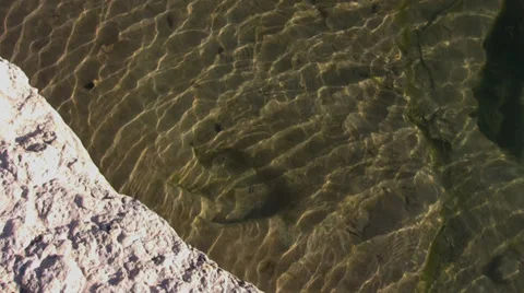Dinosaur track in Texas 2 Stock Footage 31957820