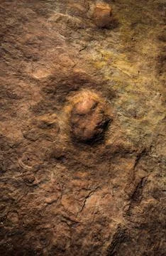 Dinosaur Tracks Stock Photos
