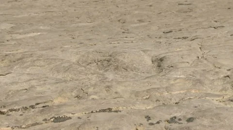 Dinosaur tracks in rock Stock Footage 12077854