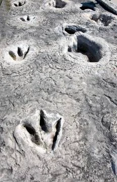 Dinosaur Tracks in Texas. Foto stock
