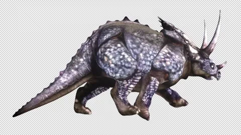 Dinosaur-tricera-run-loop Video stock 242561833