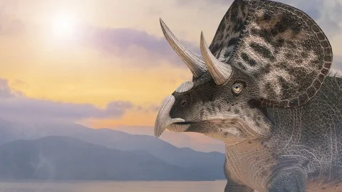 Dinosaur triceraptor on the background of nature render 3D Stockbeeldmateriaal 79687011