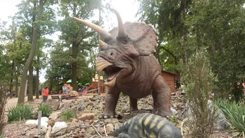 Dinosaur Triceratops Stock Footage 161184925