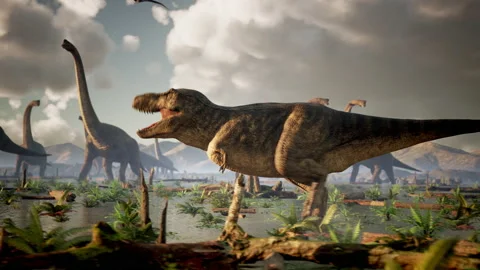 Dinosaur Tyrannosaurus rex or T-Rex lived during prehistoric Cretaceous Period Stock Footage