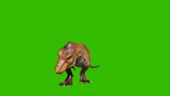 Angry T-Rex dinosaur runs in a looping s, Stock Video