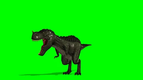 Dinosaur Tyrannosaurus T-Rex roars - green screen Stock Footage