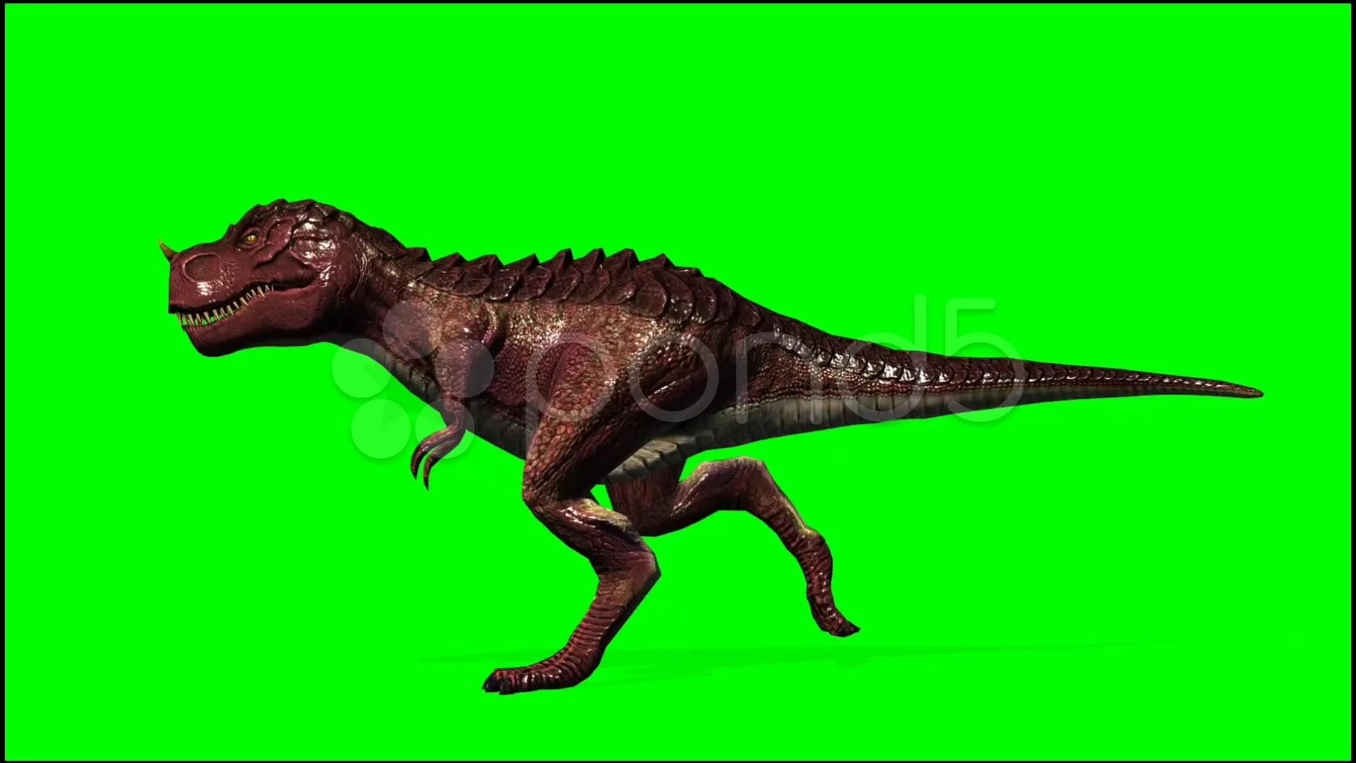 T Rex Blue screen animation walk run Dinosaur CGI animated 3D Studio Max  chroma key after effects 