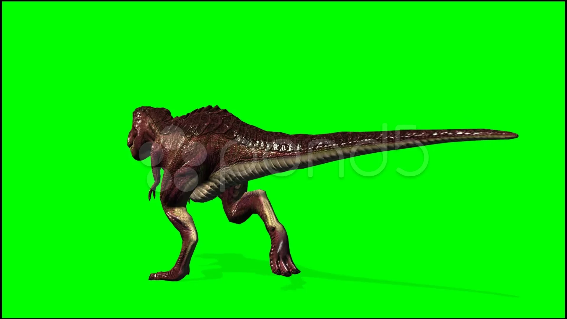 Tyrannosaurus T-Rex Run Green Screen 3D , Stock Video