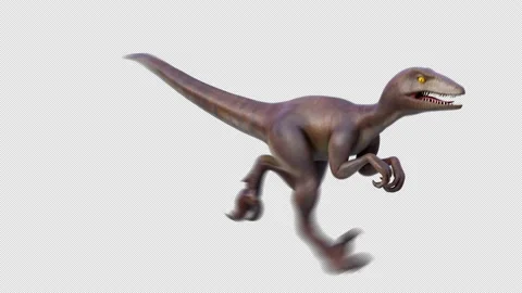 Dinosaur Velociraptor Run Loop Alpha Stock Footage 208831164