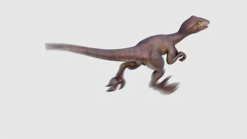 Dinosaur Velociraptor Run Loop Top Back View Alpha Stock Footage 208831095