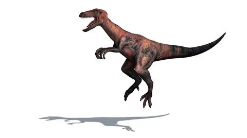 Dinosaur - Velociraptor - Two-legged,  predator with a long, stiff tail Stock Illustration
