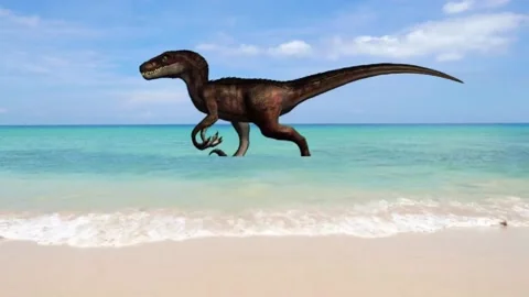 Dinosaur walking on the beach Stock Footage 313799005