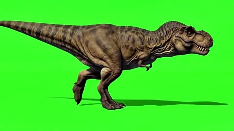 Dinosaur walking continuously of the middle point in pure clean green screen Stock Footage 318390854