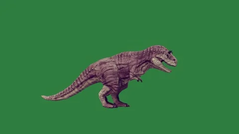 A dinosaur is walking on green screen and t - rex cartoonish design colorful Stock Footage 337341752