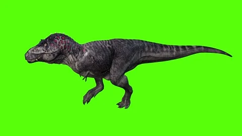 Dinosaur Walking Green Screen Animation ... | Stock Video | Pond5