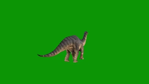 Dinosaur walking green screen cat animated chromakey illustration composition Vídeo Stock 314068481
