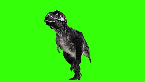 Dinosaur walking in green screen Stock Footage 126761123