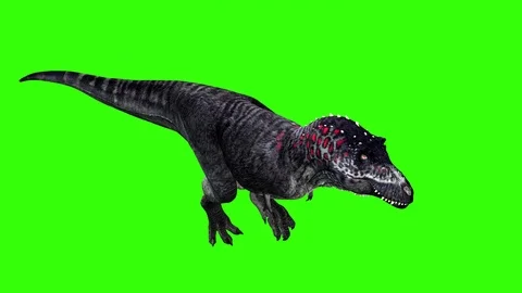 Dinosaur walking in green screen Stock Footage 126761175