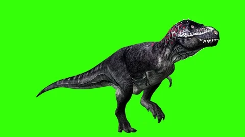 Dinosaur walking in green screen Stock Footage 126761181