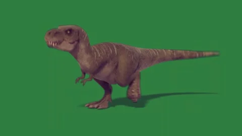 A dinosaur is walking isolated on green screen background Stock Footage 336856393
