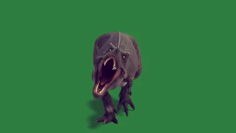 A dinosaur walking isolated on green screen background Stock Footage 336856402