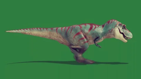 A dinosaur is walking isolated isolated on green screen background Stock Footage 336856321