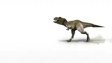 DINOSAUR ON WHITE BACKGROUND Stock Footage 811776
