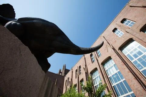 Dinosaur in Yale Foto stock