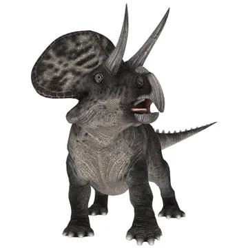 Dinosaur Zuniceratops Stock Illustration