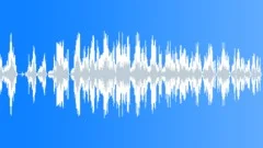 DINOSAUR,HERD Sound Effect