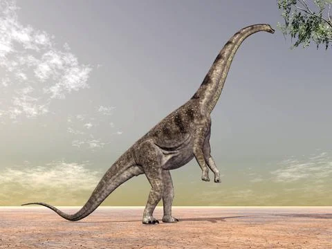  Dinosaurier Puertasaurus Computergenerierte 3D Illustration mit dem Dinos... Stock Photos