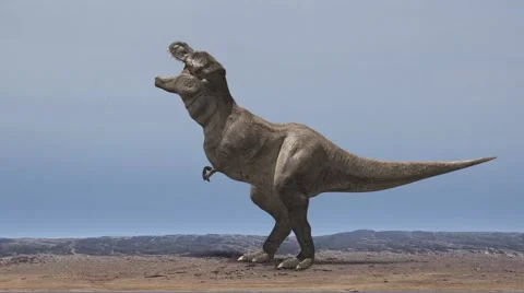 Dinosaurs anger alone Stock Footage 55693098