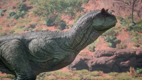 Dinosaurs Carnotaurus Calls and Eats Cretaceous Period 3D Animations Renderi Stock Footage 226623357