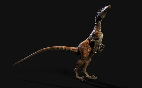 Dinosaurs concept with clipping path. Illustrazione stock