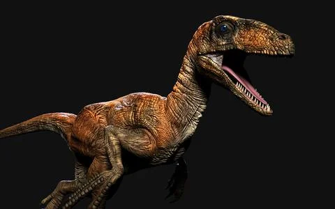 Dinosaurs concept with clipping path. Illustrazione stock