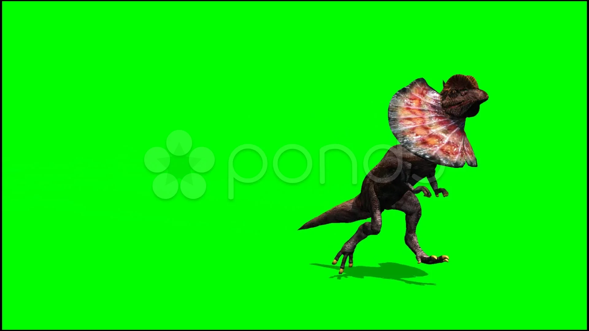 Dilophosaurus running dinosaur