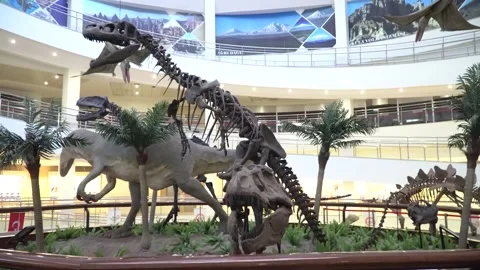 Dinosaurs Stock Footage 241564294